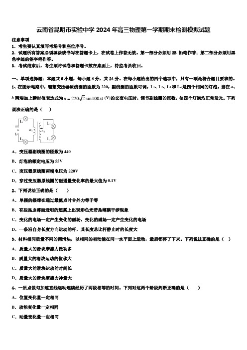 云南省昆明市实验中学2024年高三物理第一学期期末检测模拟试题含解析