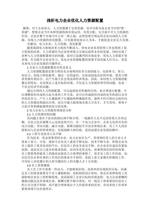 浅析电力企业优化人力资源配置