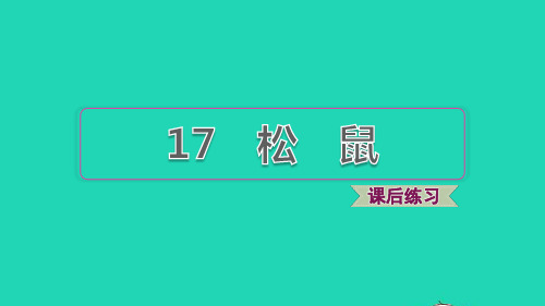 五年级语文上册第五单元第17课松鼠习题课件1新人教版