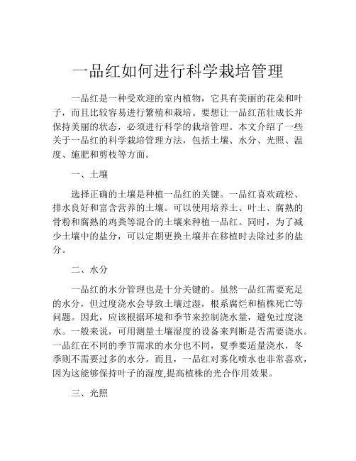 一品红如何进行科学栽培管理