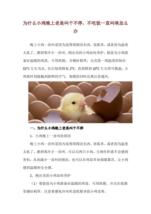 为什么小鸡晚上老是叫个不停,不吃饭一直叫唤怎么办