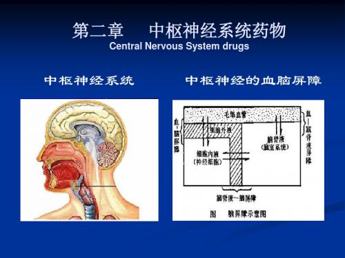 2第二章中枢神经系统药物