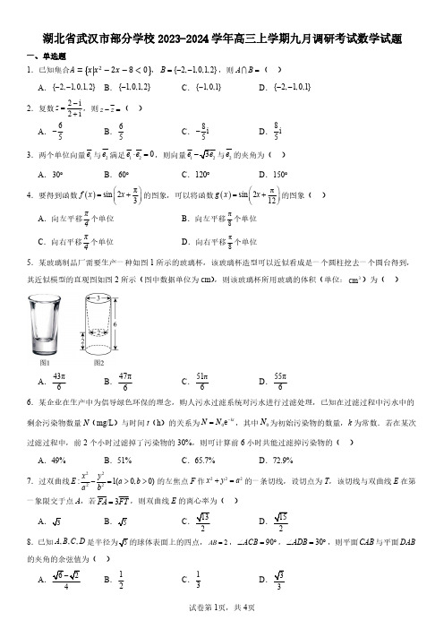 高中数学试题2024届武汉市九月调考数学试卷 解析版