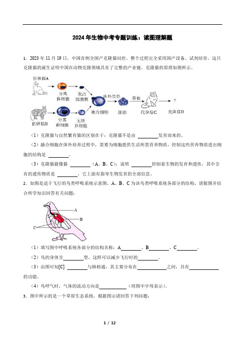 2024年生物中考专题训练：读图理解题