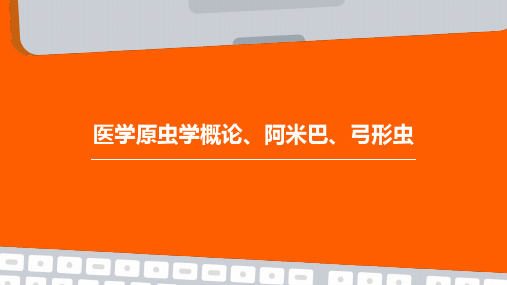 医学原虫学概论、阿米巴、弓形虫