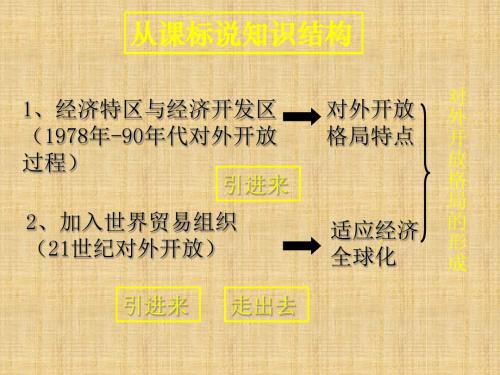 岳麓版历史八下《对外开放格局的形成》ppt课件1