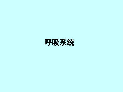 组织胚胎学课件-呼吸系统