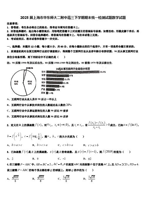 2025届上海市华东师大二附中高三下学期期末统一检测试题数学试题