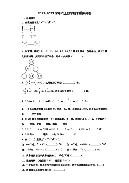 2023届沈阳市铁西区数学六上期末复习检测模拟试题含解析