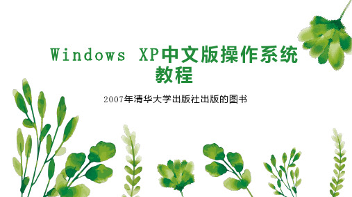 Windows XP中文版操作系统教程