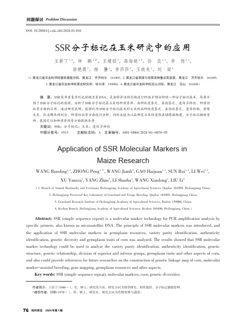 SSR_分子标记在玉米研究中的应用