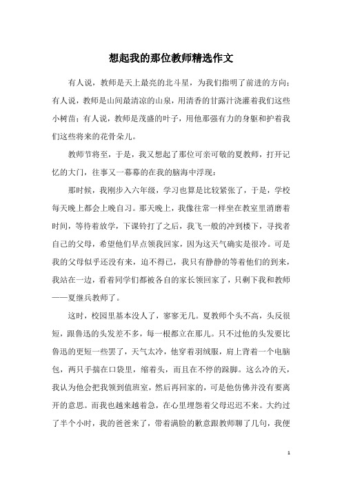 想起我的那位教师精选作文