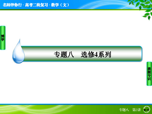 高考数学(文科)二轮名师指导课件【专题8】选修4系列【2】(45页)