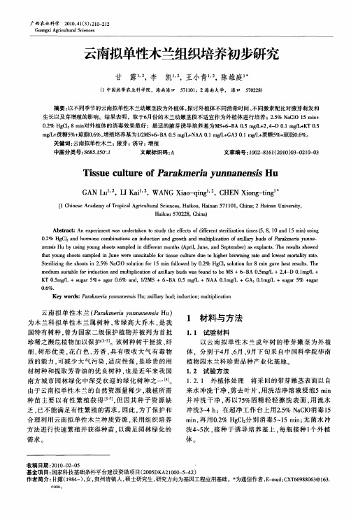 云南拟单性木兰组织培养初步研究