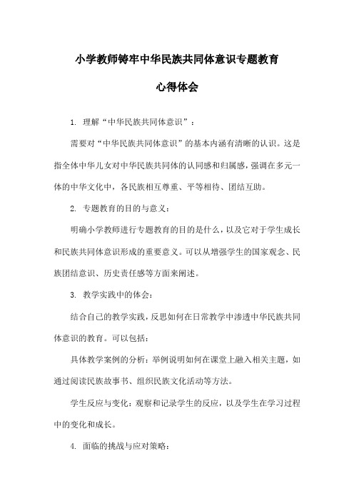 小学教师铸牢中华民族共同体意识专题教育心得体会