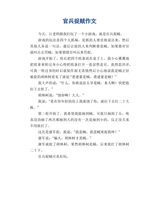 小学五年级优秀记事习作：官兵捉贼作文