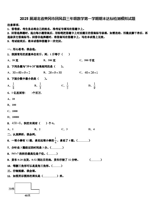 2025届湖北省黄冈市团风县三年级数学第一学期期末达标检测模拟试题含解析