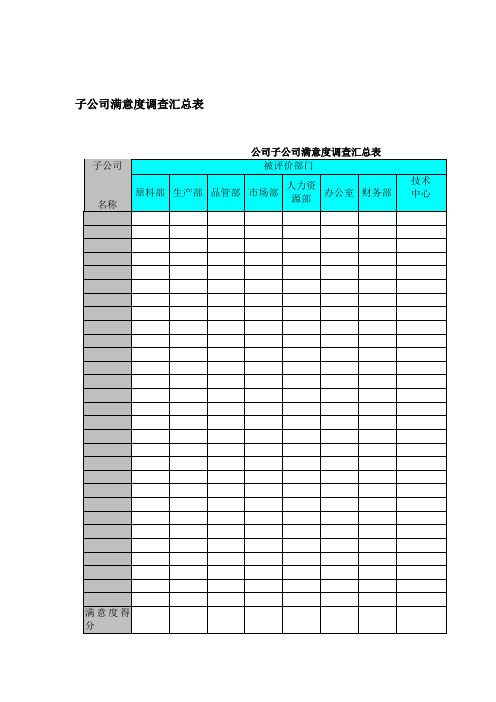 子公司满意度调查汇总表(doc格式)