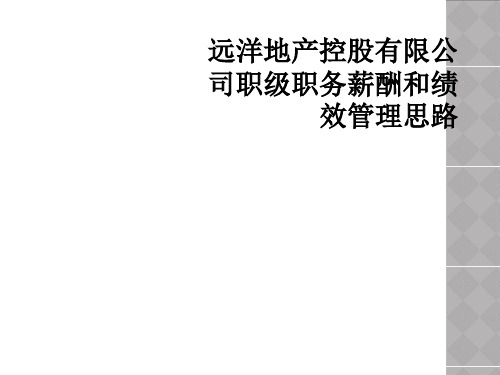 远洋地产控股有限公司职级职务薪酬和绩效管理思路