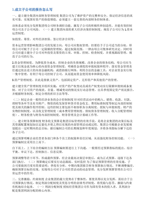 公司子公司情况说明范文