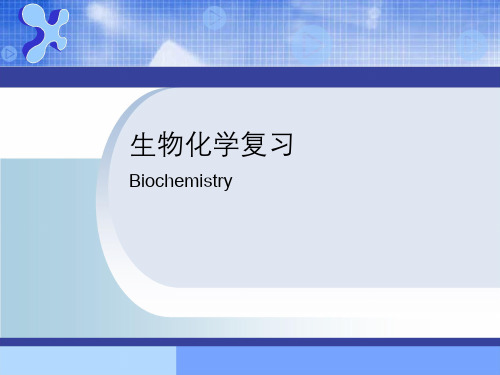 《生物化学》总复习课件