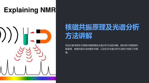 核磁共振原理及光谱分析方法讲解