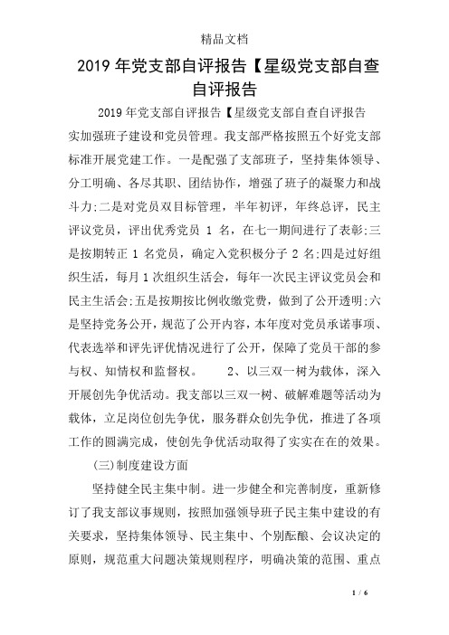2019年党支部自评报告【星级党支部自查自评报告