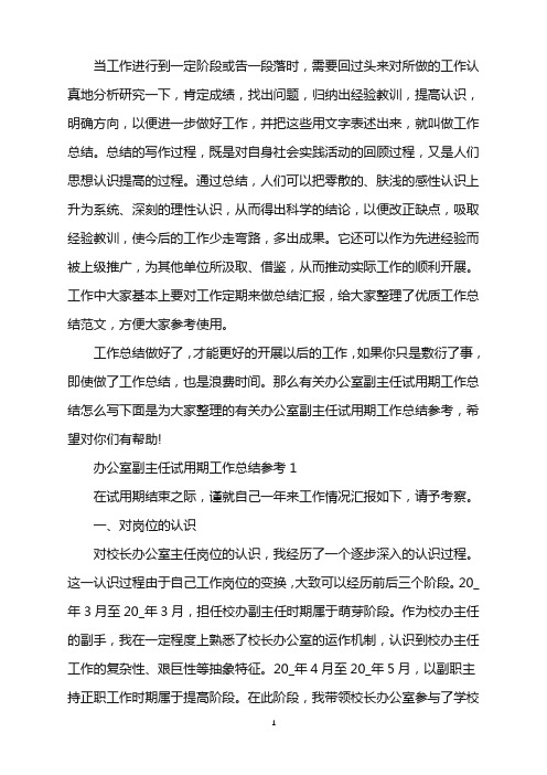 办公室副主任试用期工作总结参考