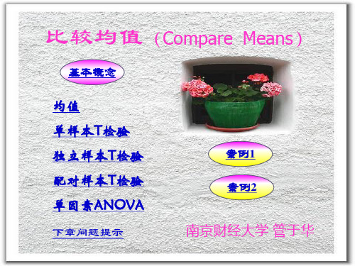 参数估计与假设检验_SPSS