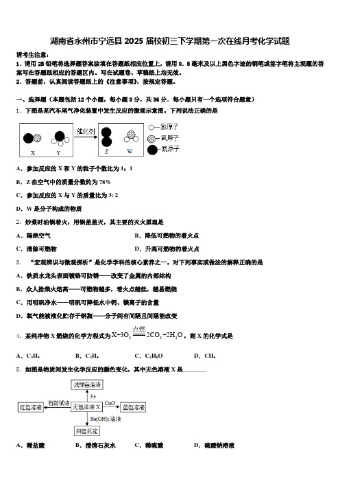 湖南省永州市宁远县2025届校初三下学期第一次在线月考化学试题含解析