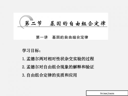 高一生物苏教版必修二课件：第三章_第二节_第一讲_基因的自由组合定律
