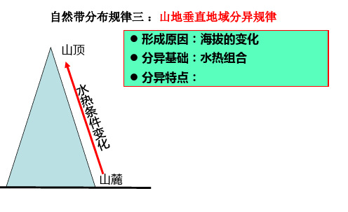 自然带分布规律三