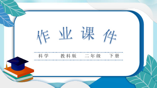 教科版二下科学2 通过感官来发现 作业课件