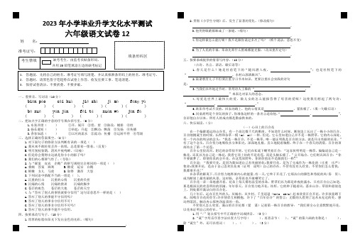 2023年小学六年级语文毕业升学文化水平测试卷12(含答案)