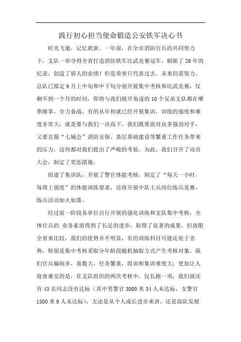 践行初心担当使命锻造公安铁军决心书