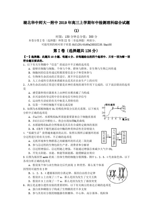 湖北华中师大一附中2019年高三上学期年中检测理科综合试题(1)