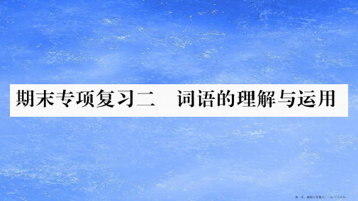 2022八年级语文上册期末专项复习2词语的理解与运用作业课件新人教版20220611141