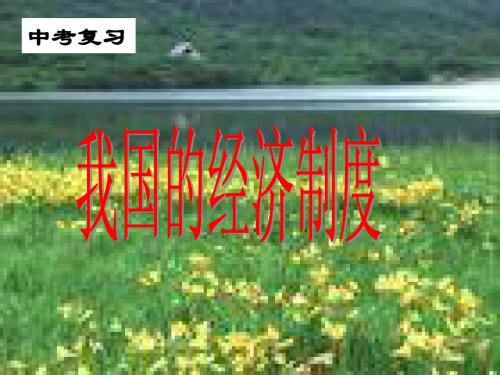 我国的经济制度(复习)