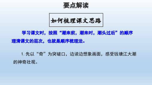 人教部编版四年级语文上册【要点解读】如何梳理观潮课文思路