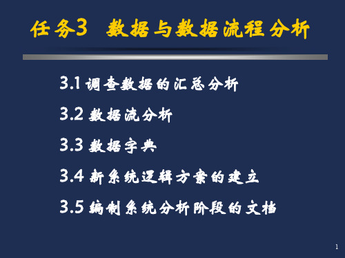 任务3 数据与数据流程分析