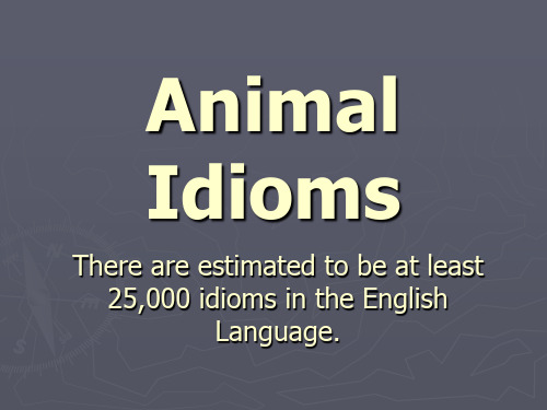 Animal Idioms