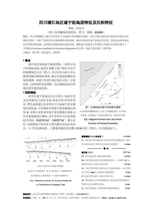 四川蒲江地区遂宁组地层特征及沉积特征