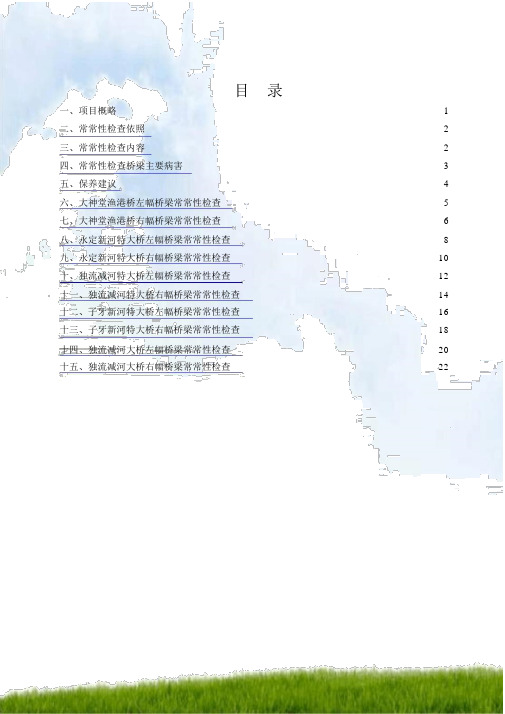 天津市海滨高速桥梁经常性检查报告