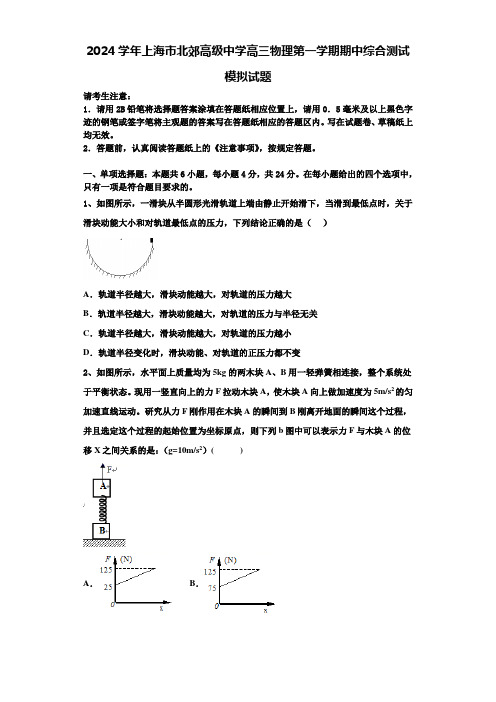 2024学年上海市北郊高级中学高三物理第一学期期中综合测试模拟试题含解析