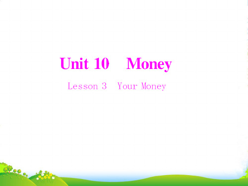 高中英语 Unit 10 Lesson 3 Your Money训练课件 北师大必修4