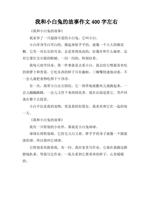 我和小白兔的故事作文400字左右