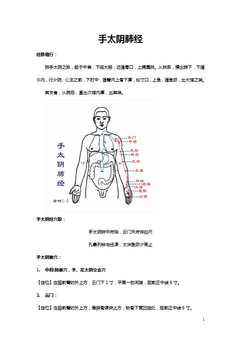 经络腧穴(全)