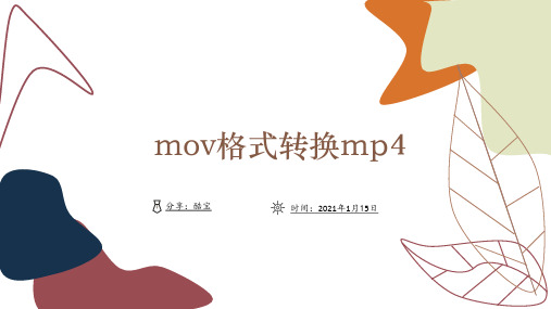 求解mov格式转换mp4？教你一招