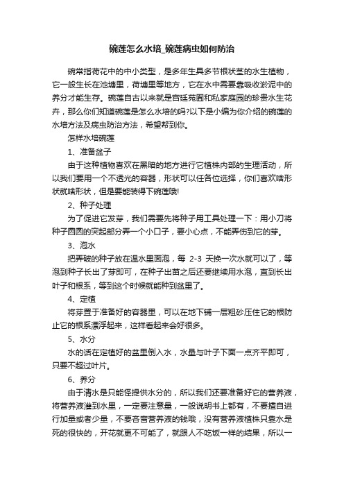 碗莲怎么水培_碗莲病虫如何防治