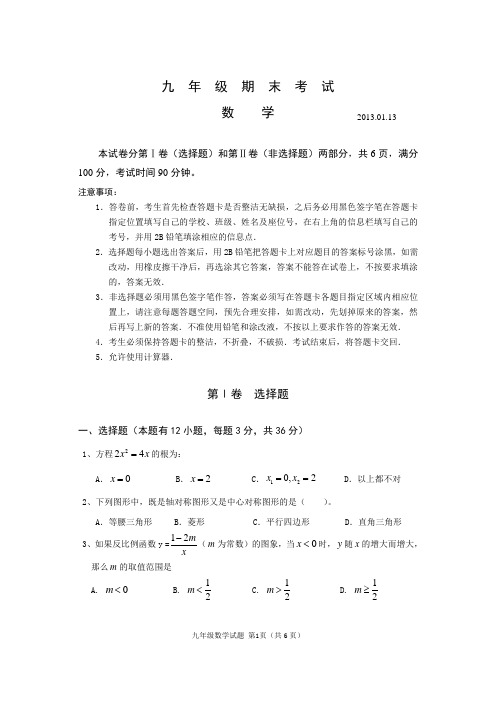 2013深圳南山区九上学期期末统考试题及详细答案